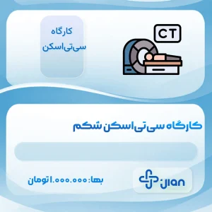 کارگاه سی‌تی‌اسکن شکم